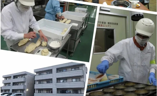 日本2020年8月新單匯總！